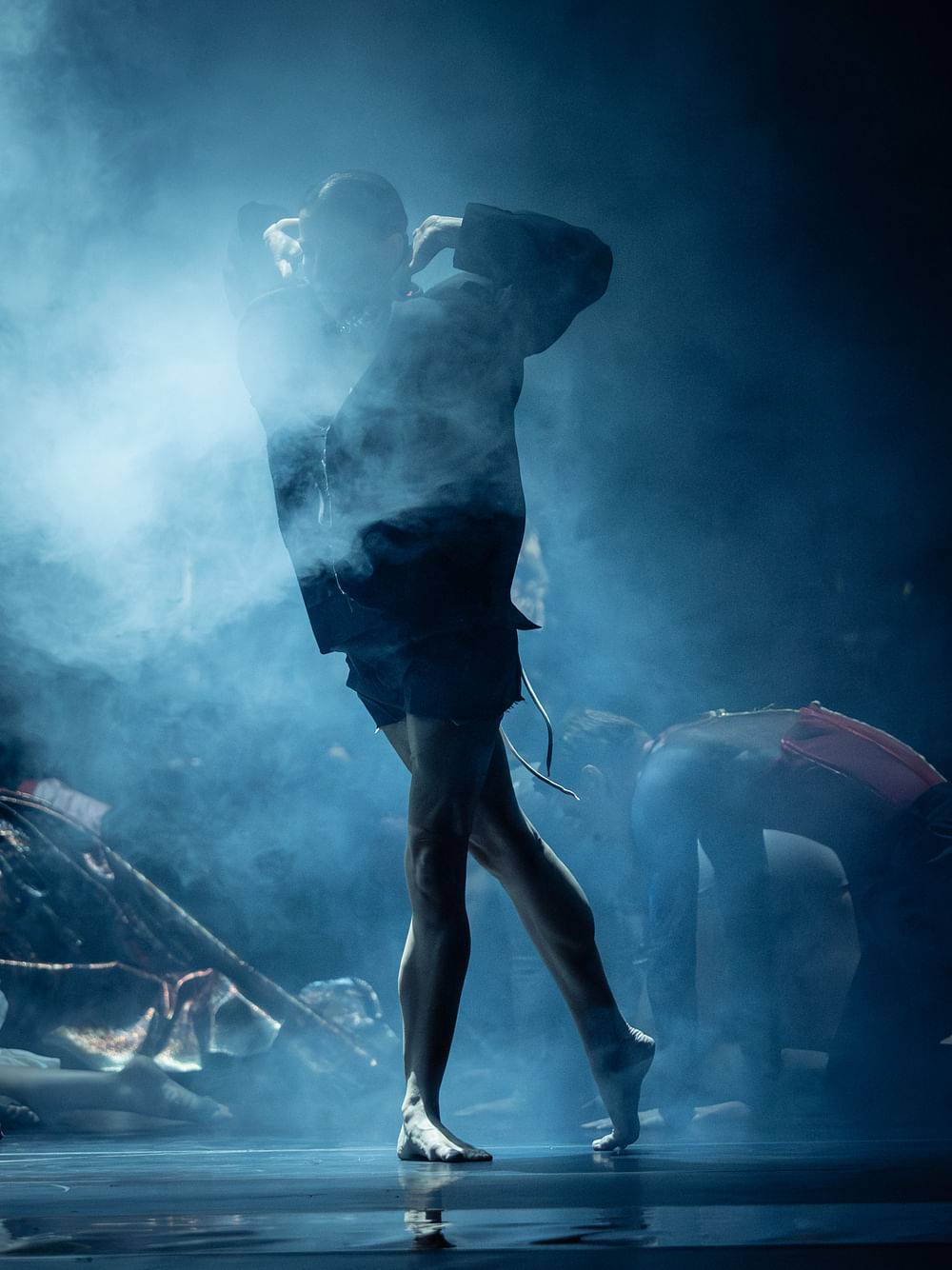 © Ashley Taylor/Wiener Staatsballett AEREA