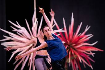 Probeneinblicke "Jolanthe und der Nussknacker"